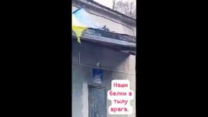 Наши белки в тылу врага