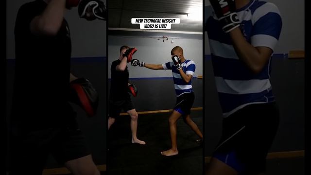 MMA Striking || Vector MMA смотреть онлайн