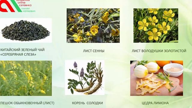 Чай Fresh Greenway смотреть онлайн