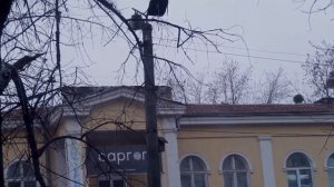 Старые фонари ЖСУ и РСУ с лампами Дрл на подвесном кронштейне