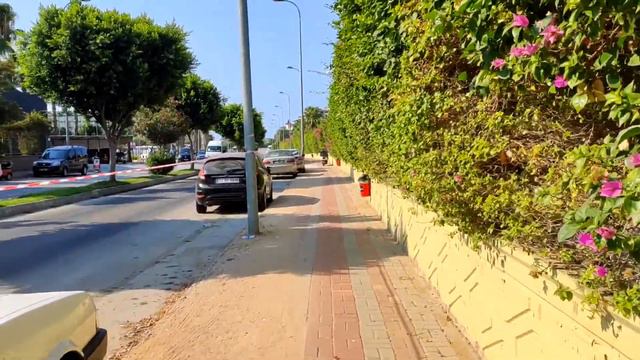 Весь Orfeus Queen Hotel за 16 минут смотреть онлайн