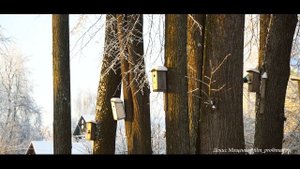 КОСТРОМА ЗИМНЯЯ