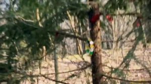 СЕКТАНТЫ в ЛЕСУ! нарвались на БЕЛЫХ ЛЮДЕЙ