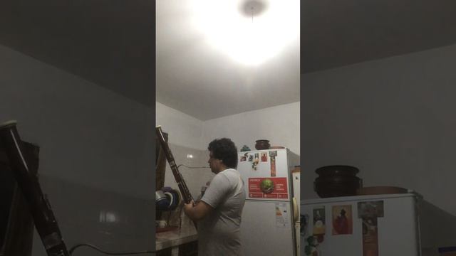 Mozart Concierto para fagot y orquesta Mov I sin cadencia смотреть онлайн