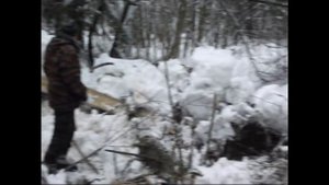 ТРАКТОР ДТ 75 В ЛЕСУ//КУРЬЁЗЫ//ПОЛОМКИ