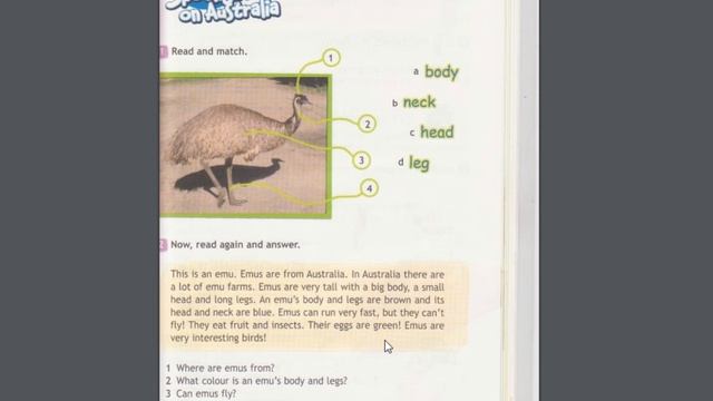 Spotlight-3 (81-88 страницы) смотреть онлайн