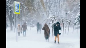 Шопен Ф. Этюд № 3 op. 10 исп. С.Рихтер