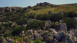 Конец июля на Генеральских  пляжах