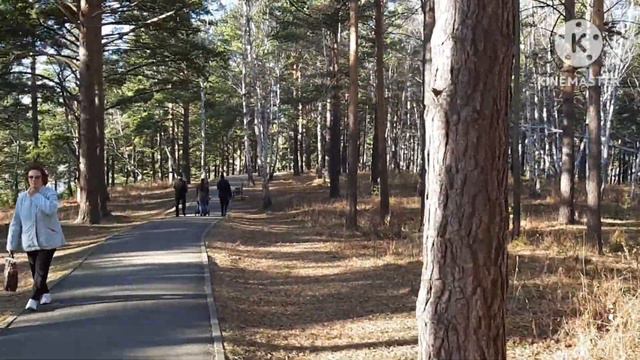 Отдыхаем в берёзовой роще Иркутск мрн Синюшина гора