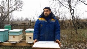 За сколько продавать мед? Почему он стоит дешево? Ценообразование на мед. Куда девать мед? Крик душ