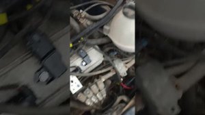 Фольксваген транспортер т4. январь 5.1.