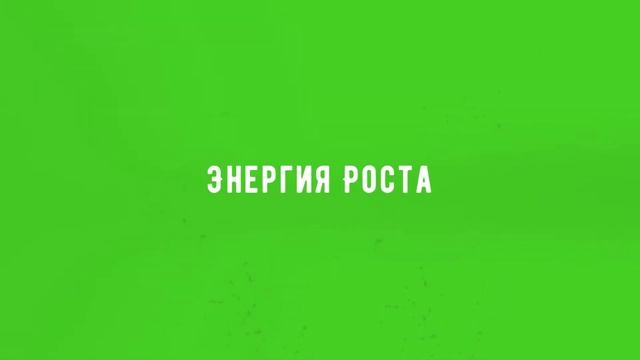 Энергия Роста - Грецкие орехи экстра класса