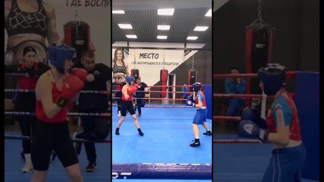 ДОЧА НА СБОРАХ В СТАЙКАХ смотреть онлайн