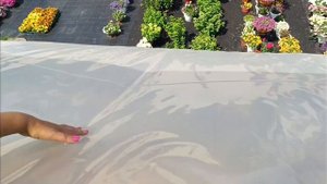 Обзор нашей фермерской теплицы по Митлайдеру, отзыв по итогам года эксплуатации.