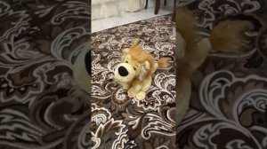 Детские поющие игрушки [поющий Лев]