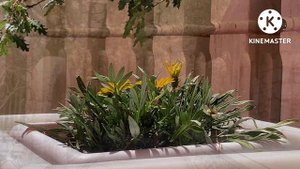 Вилла Харакс, Ласточкино гнездо, Царская (Солнечная) тропа.