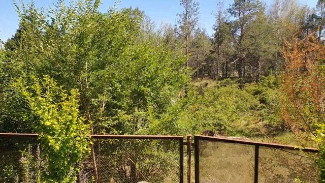 Иссык - Куль 2021. Долинка смотреть онлайн