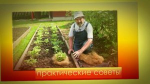 Мастер - Садовод