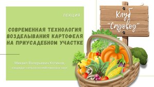 Лекция «Современная технология возделывания картофеля на приусадебном участке»