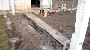 Весенняя подкормка винограда