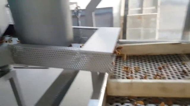Машина для измельчения миндаля - Almond Crushing Machine - آلة سحق اللوز