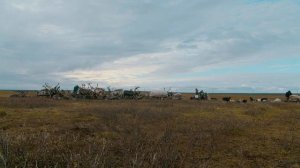 Вся жизнь оленеводов – это нескончаемое путешествие