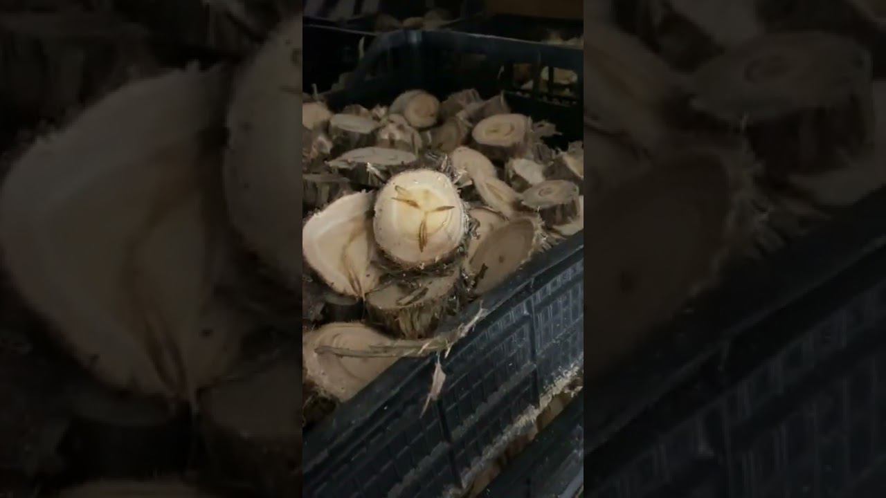 Для будущих предметов декора! смотреть онлайн