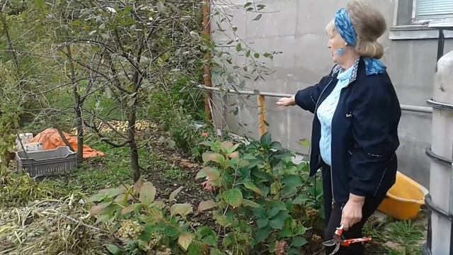 Огород-помойка .Осенние работы . смотреть онлайн