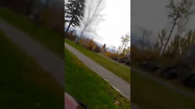 sled yamaha venture 480 a little run before winter смотреть онлайн