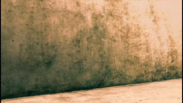 вольт клип сага о наёмниках смотреть онлайн