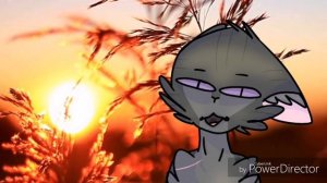 Что означают PMV, AMV, MAP и MEP? (ч.о)