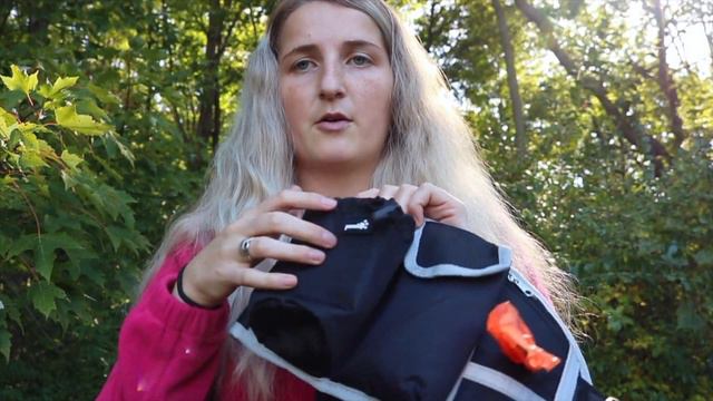 Everyday Essentials For Walking Your Dog | Must Have Favorites смотреть онлайн