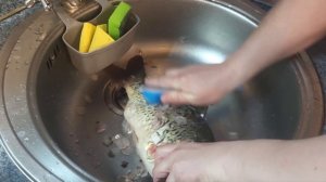 КАРП. Разделка карпа за 5 минут