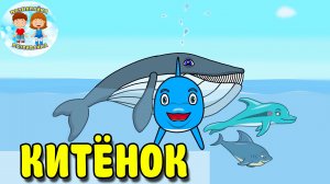 Дельфиненок Тёмик – КИТЕНОК | ? | Морские животные. Мультики для детей