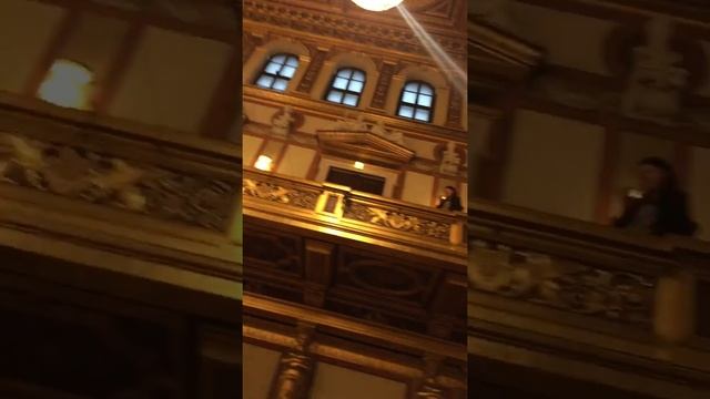 Золотой  зал венской филармонии