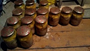ТУШЁНКА С БРОЙЛЕРА СВОИМИ РУКАМИ!