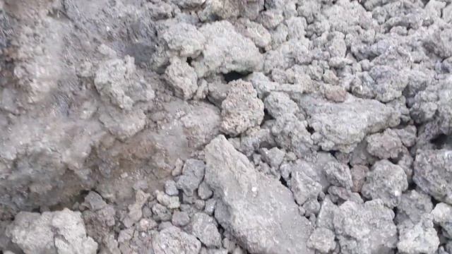 Hiking Volcán Pacaya in Guatemala! #pacaya #volcano #guatemala смотреть онлайн