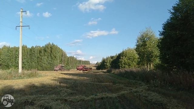 Завершение зерноуборки. Будни комбайнера. Комбайны Палессе кзс 812 и кзс 1218.