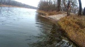 Ловим окуня на отводной поводок 4 ноября 2023 года