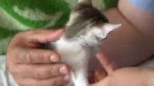 Мороженое ПЛОМБИР из нашего детства. Рецепт