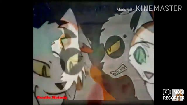 Коты Воители{Ьыстролап и Яролика}🖤Нас не догонят...🖤 смотреть онлайн