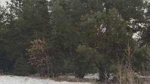 3 марта народный праздник Ярилин день. Народные приметы и традиции. Запреты дня. Именинники дня.