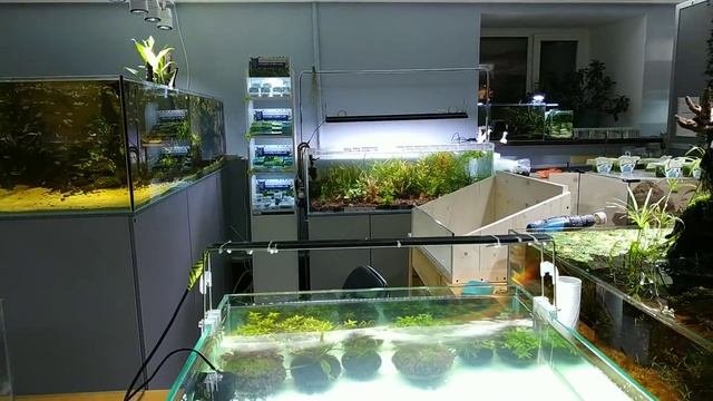 Свежий обзор в Biobox смотреть онлайн