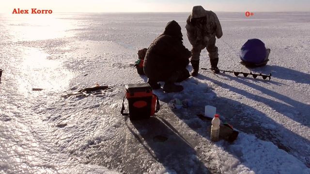 РЫБАЛКА НА КАНАЛЕ ИРТЫШ КАРАГАНДА\ ЛОВЛЮ\Ловлю мерную плотву Часть 2 смотреть онлайн