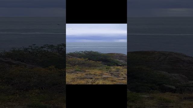 Отдых в Крыму.Горы, иоре.