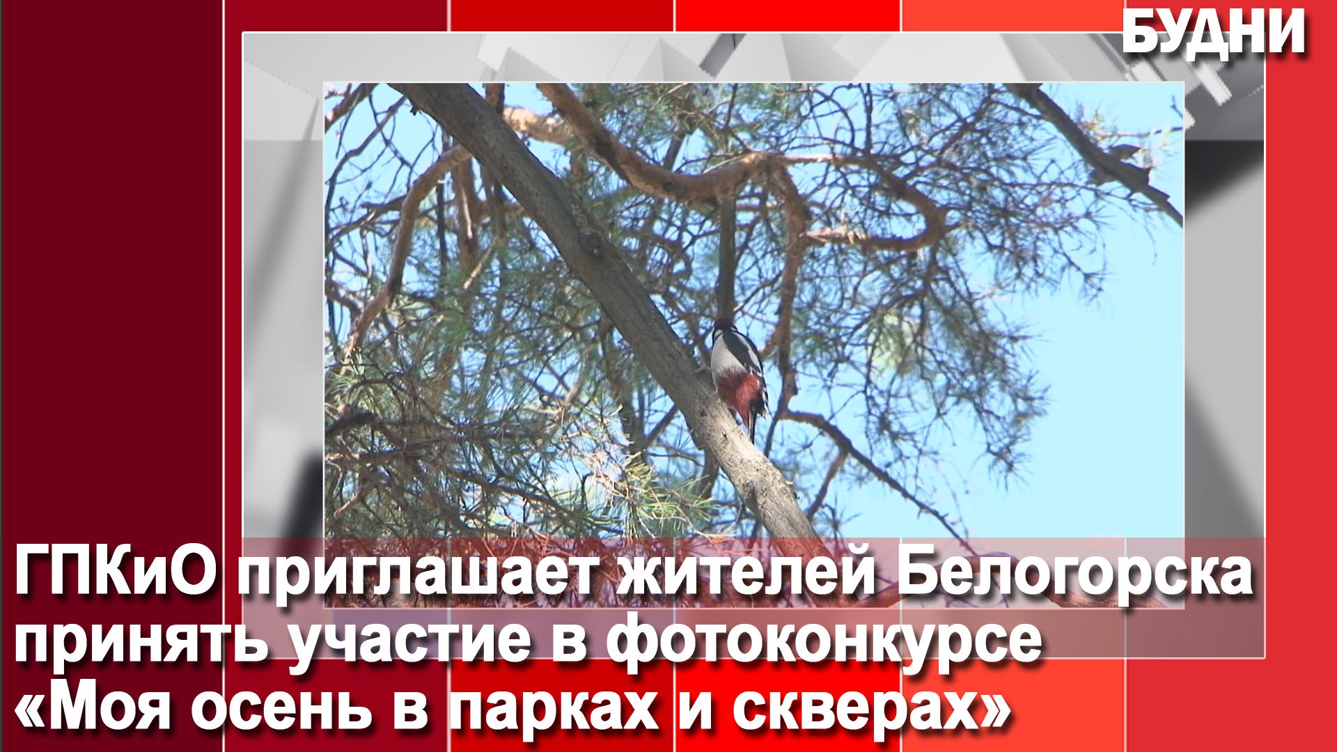 Белогорцев приглашают на фотоконкурс