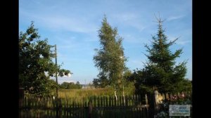 Участок 19 соток в деревне Заслонино.