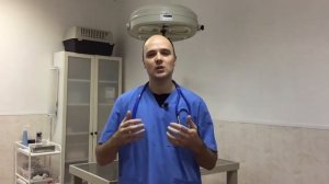 Профессия ветеринар  описание, обучение, зарплата, плюсы и минусы