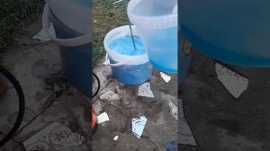 Как сохранить саженцы роз до весны, приобретённые в ноябре?