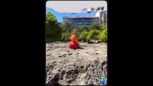 Покорите клиентов с Luma AI: ваш бизнес в 3D за 5 минут